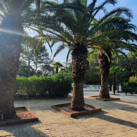 Appartement Harmony *