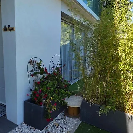 Harmony Apartment Vallauris